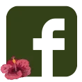 page facebook les volieres du mayne