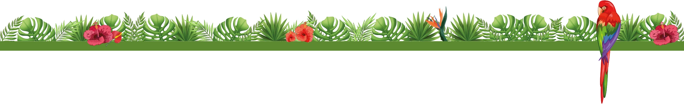 Frise footer les volieres du mayne elevage et vente de perroquets cacatoes amazones gris du gabon eclectus caiques jardines conures americaines dans toute la france