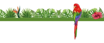 Frise footer les volieres du mayne elevage et vente de perroquets cacatoes amazones gris du gabon eclectus caiques jardines conures americaines dans toute la france